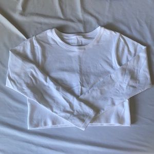 Aerie Long sleeve Seamless Crop Top